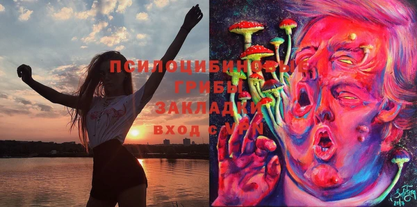 МДПВ Арсеньев