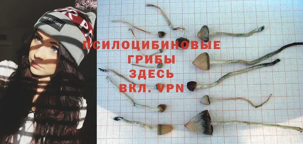МДПВ Арсеньев