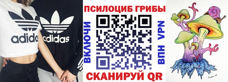 Купить где  Медынь  Галлюциногенные грибы Psilocybe 